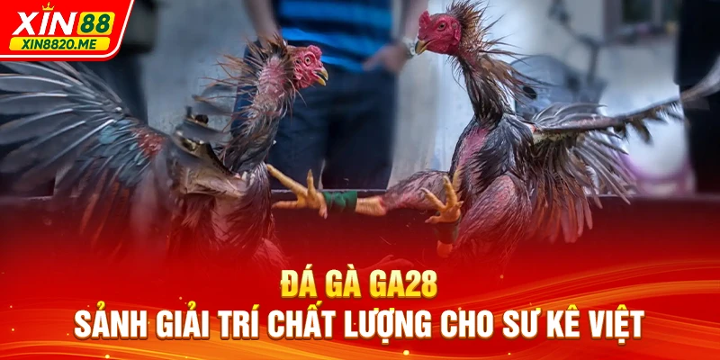 Đá gà GA28 - Sảnh Giải Trí Chất Lượng Cho Sư Kê Việt