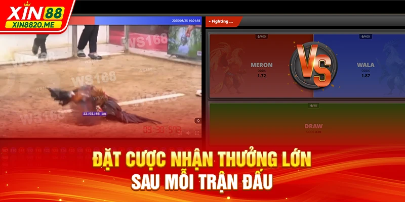 Đặt cược nhận thưởng lớn sau mỗi trận đấu